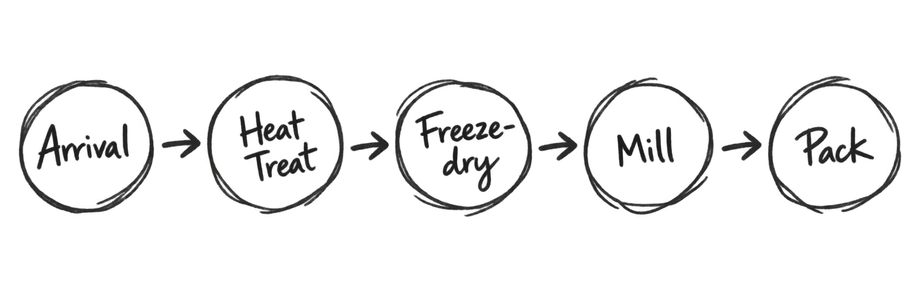 A hand-drawn row of five linked circles labelled arrival, heat treat, freeze-dry, mill, pack
