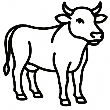 Line drawing of a beef