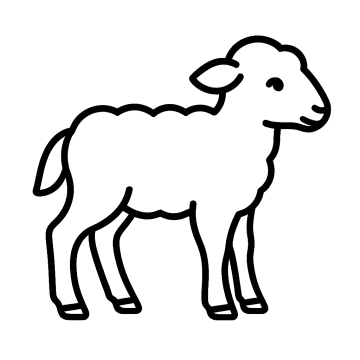 Line drawing of a lamb